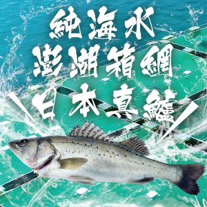 pi_75872 日本真鱸全魚170g/尾