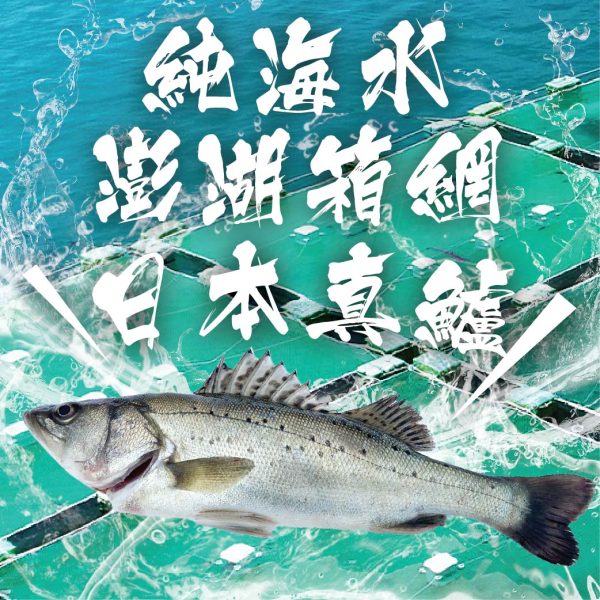 日本真鱸全魚170g/尾