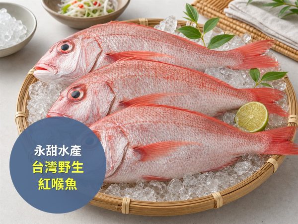 永甜水產 台灣野生紅喉魚