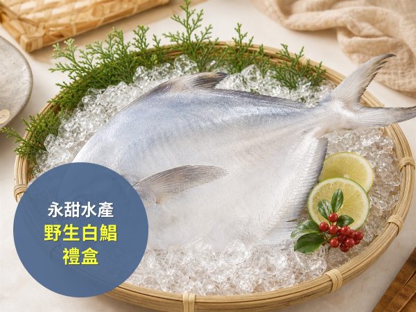 永甜水產 野生白鯧禮盒